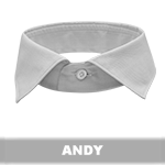 ANDY